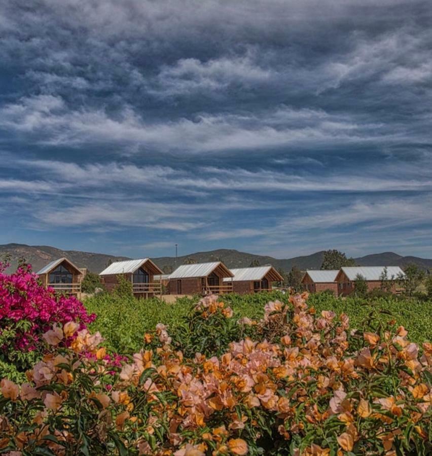 Don Tomas Vinedo Cabanas Valle de Guadalupe Zewnętrze zdjęcie